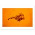 369f7aa9-9ff5-41fd-bd0c-b38aeb6c746e