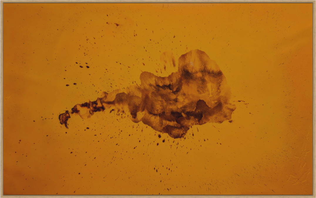 Main image iri