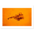 8187df7c-1c79-4448-8337-3eb6f752e965